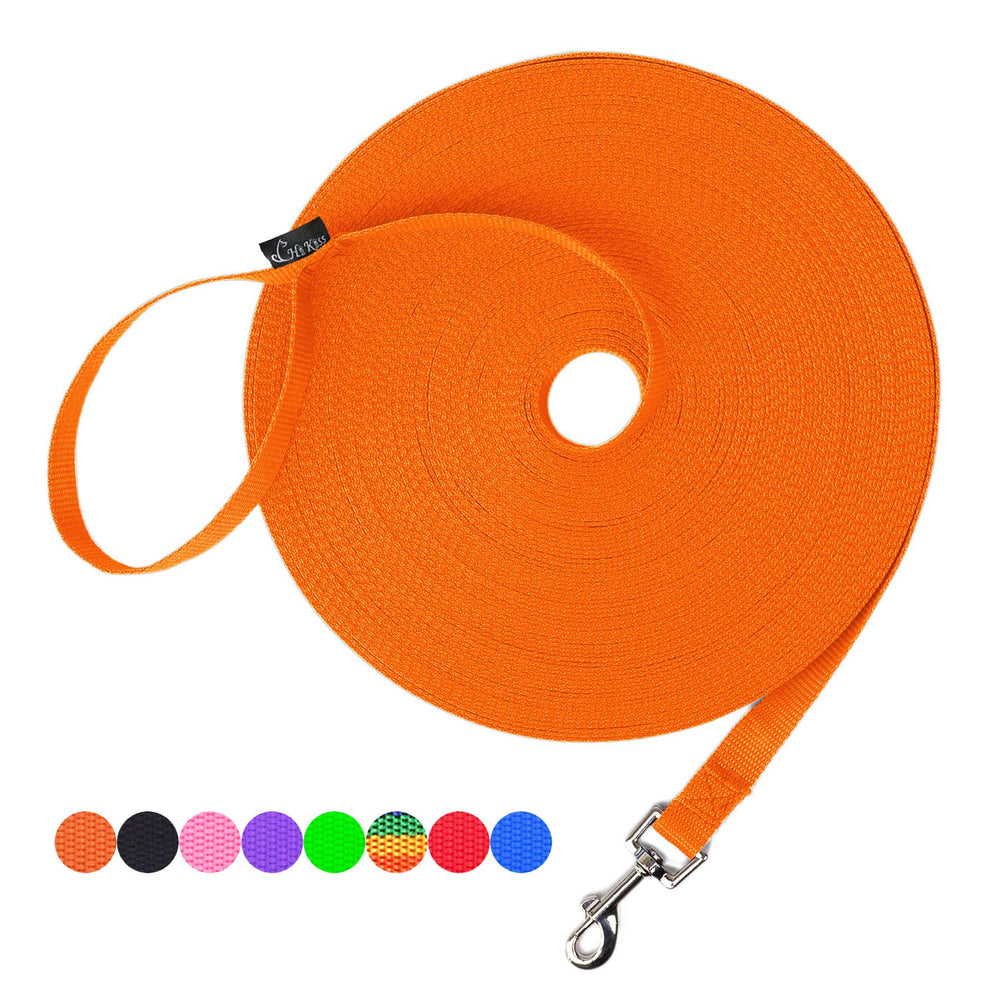 Hi Kiss 50ft orange dog leash during outdoor recall training for better control.