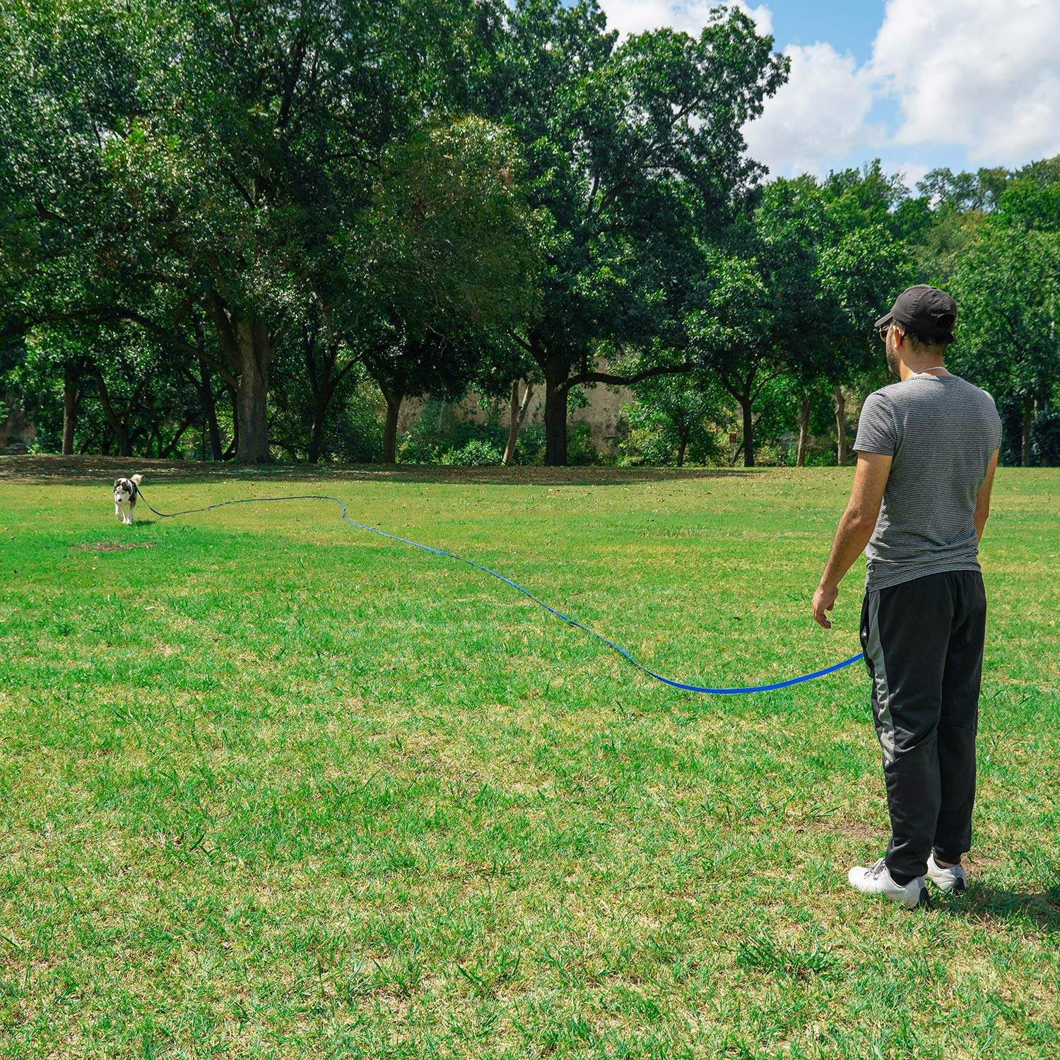 Hi Kiss puppy obedience leash setup for beginner recall practice.