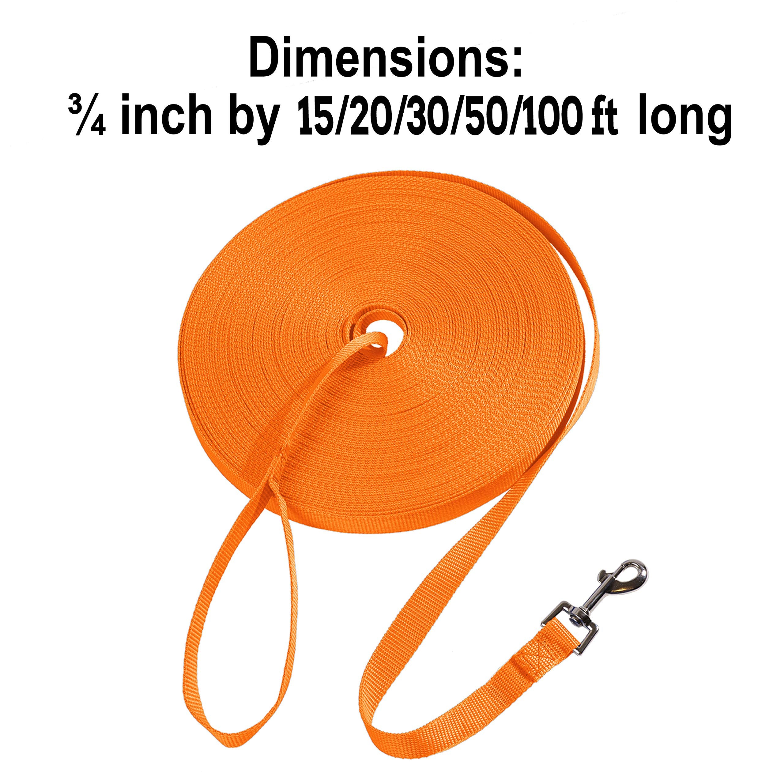 Hi Kiss long nylon leash detail highlighting swivel snap for smooth control.