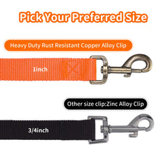 Hi Kiss training leash in park enables controlled recall and safety.