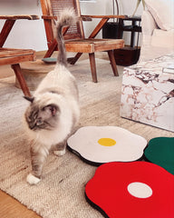 HiKiwee white wall-mount scratching pad adds subtle decor while redirecting scratching