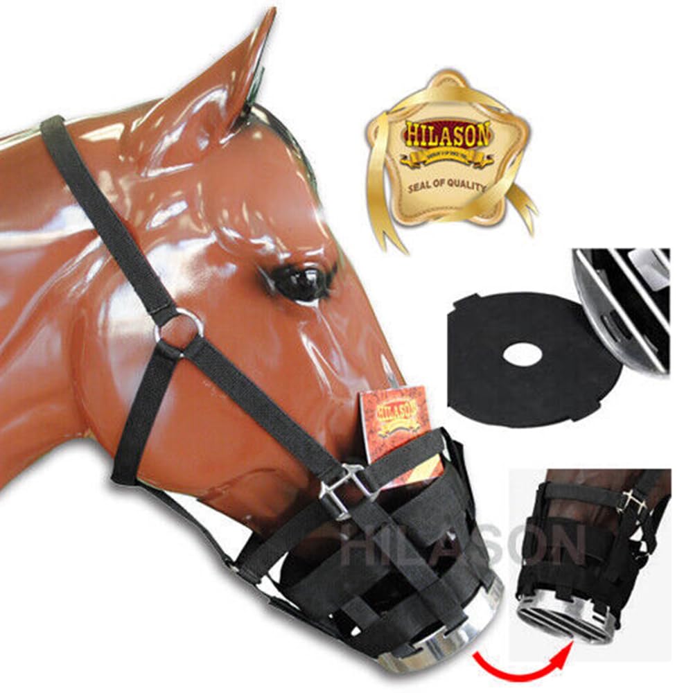 Hilason nylon webbing with four-point attachments enables secure, adjustable fit.