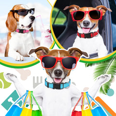 Hillban black reflective collar ensures high-contrast visibility for night walks