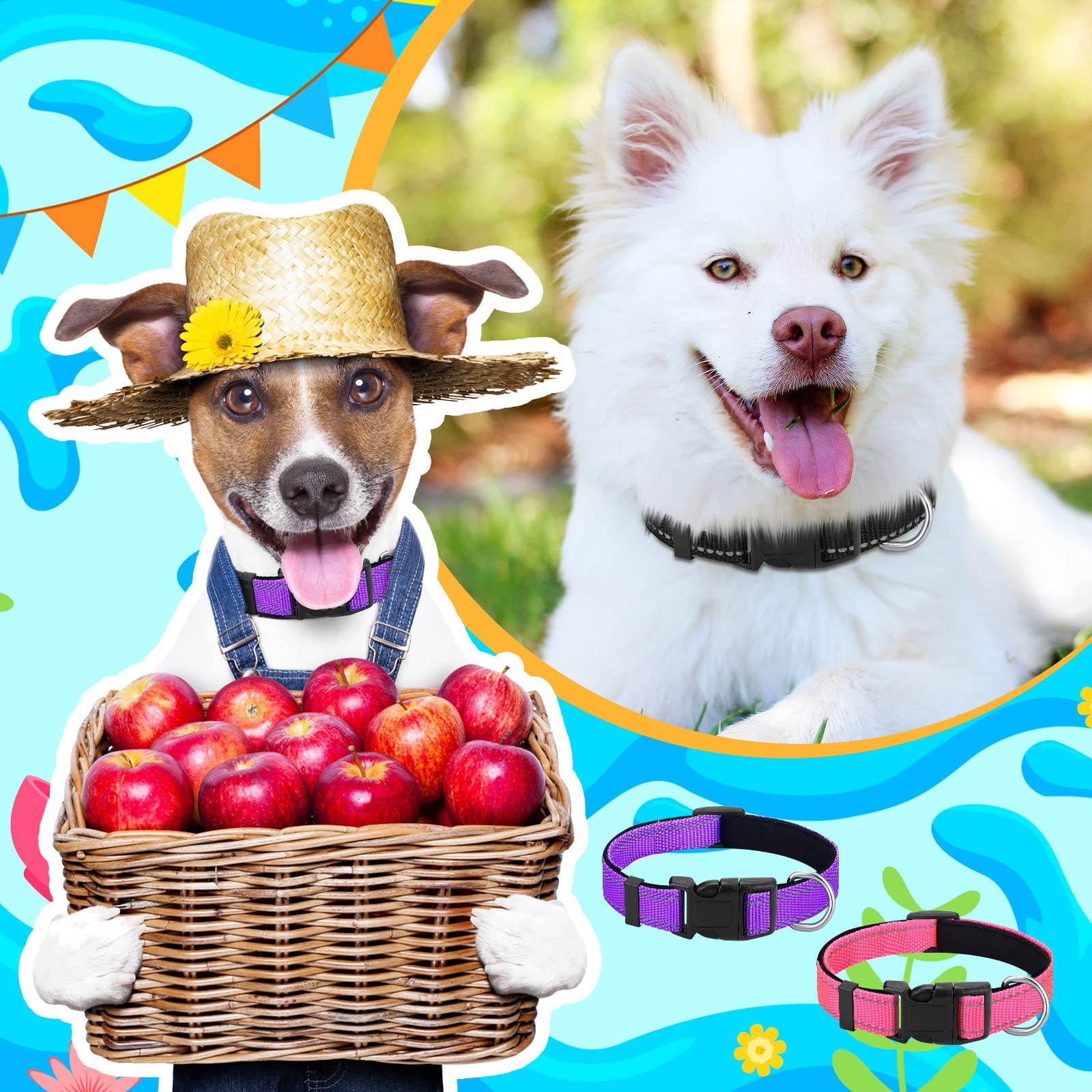 Hillban pink reflective collar enhances day-to-day safety with bright color