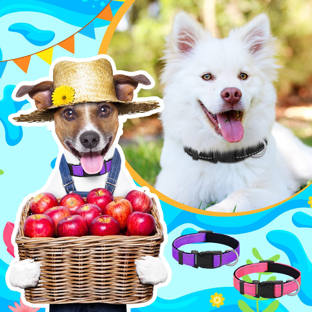 Hillban pink reflective collar enhances day-to-day safety with bright color