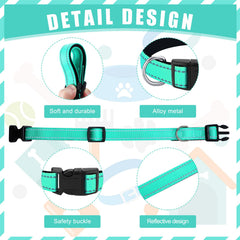Hillban purple reflective collar enhances visibility during nighttime jaunts and safety