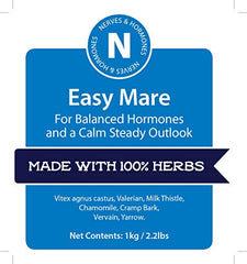 Mares in pasture beside Easy Mare for calm support.