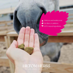 Hilton Herbs Herballs: premio en bolsillo, práctico para premiar durante el paseo.