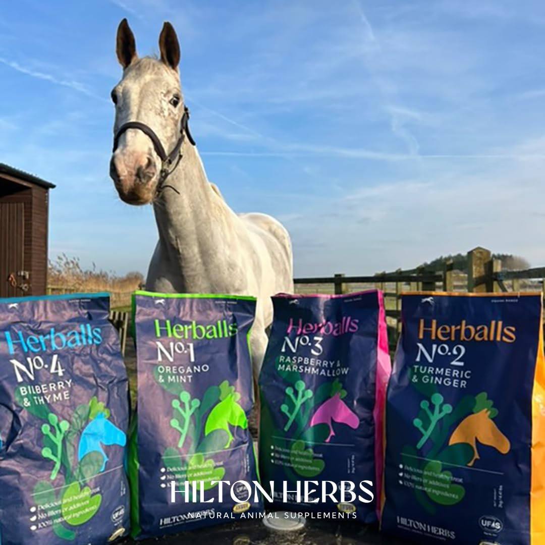Hilton Herbs Herballs: sabores variados del rango, variedad para la dieta equina.