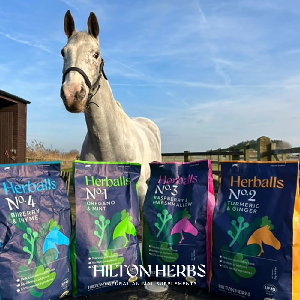 Hilton Herbs Herballs: sabores variados del rango, variedad para la dieta equina.