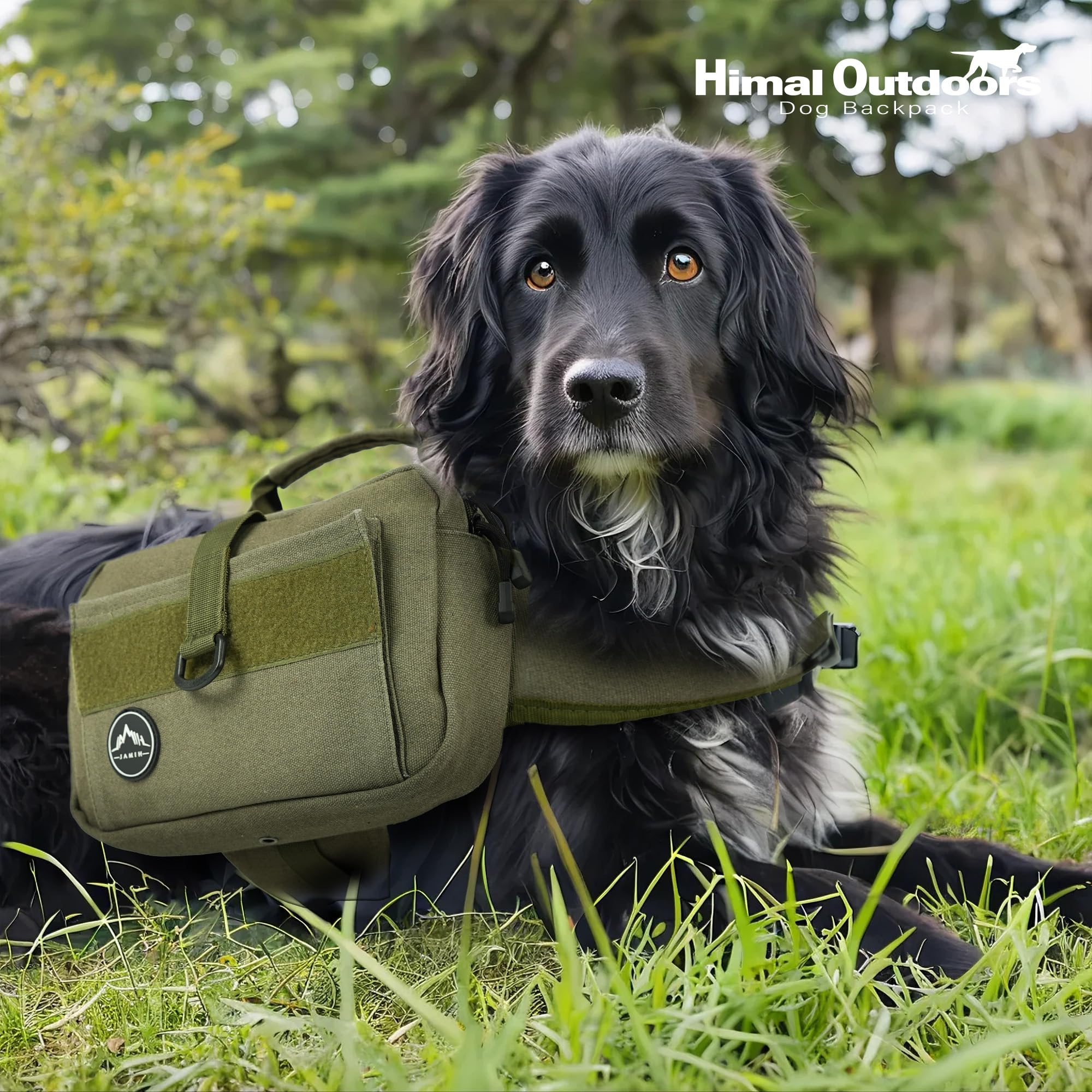 Himal Outdoors dog backpack strap adjustment enables quick sizing on the trail.