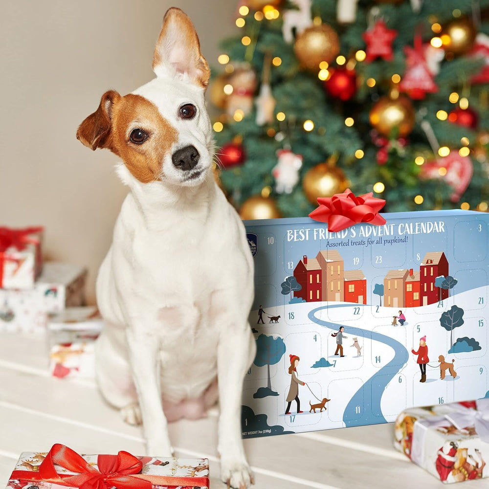 Himalayan Dog Chew Advent Calendar yogurt sticks close-up—healthy, flavorful daily treats.