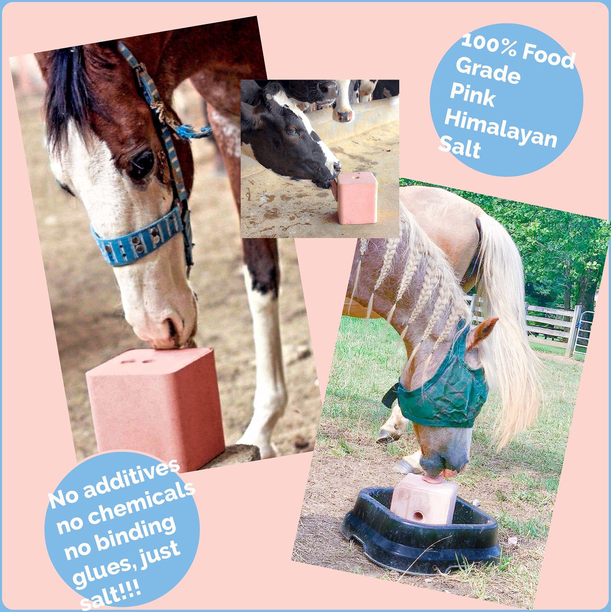 Himalayan Secrets multispecies salt lick for wildlife and farm animals