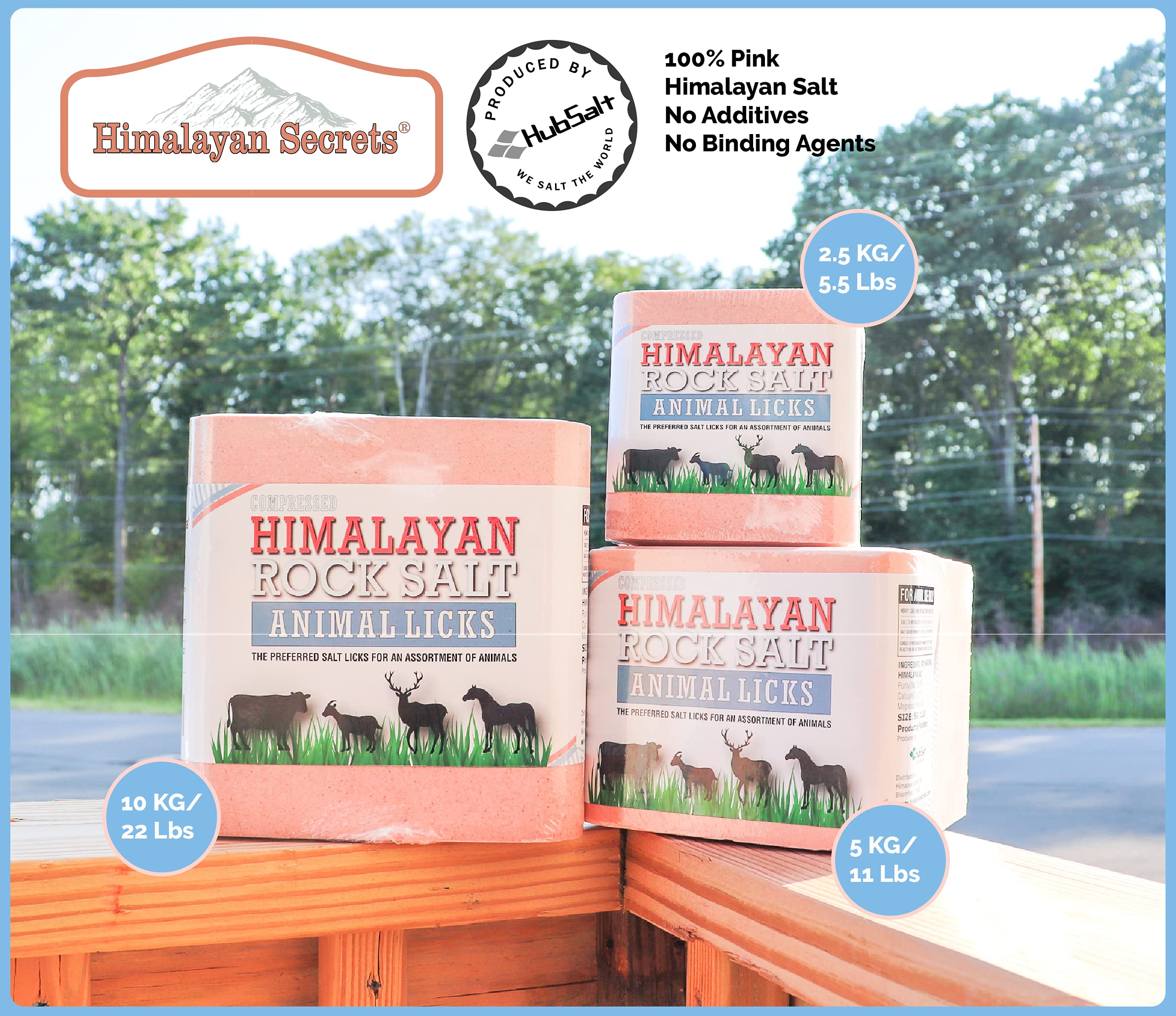Himalayan Secrets salt lick with smooth edges for safe licking