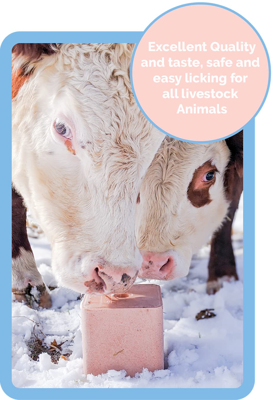 Himalayan Secrets sustainably sourced Himalayan salt from foothills
