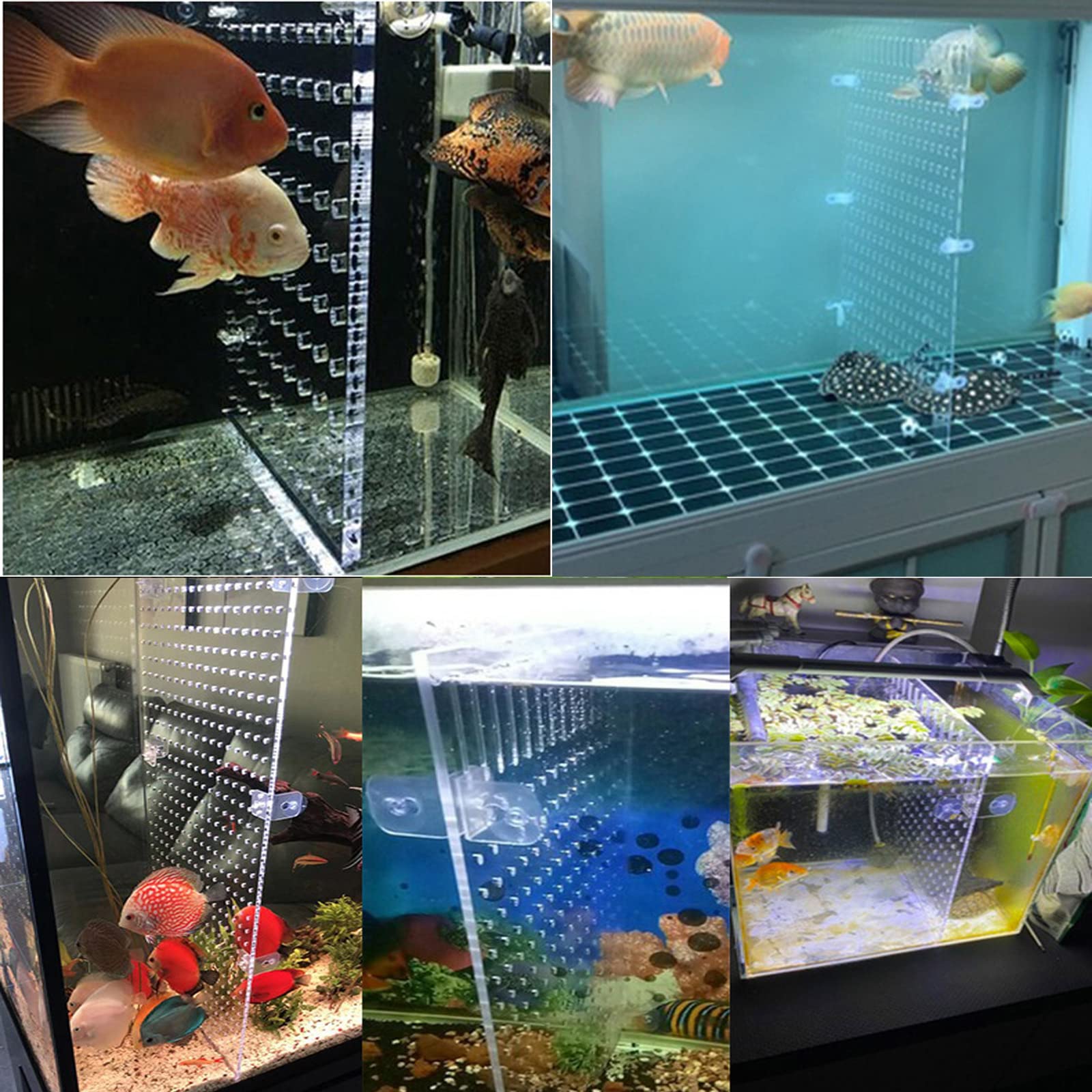 HingoFuni divider suits fish farms and aquariums for safer separation