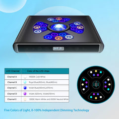 Hipargero A100 remote control visual shows convenient timer and master/slave syncing.