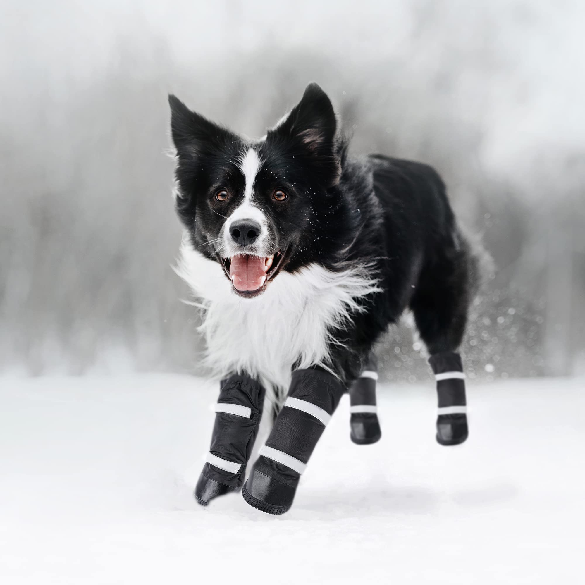 Hipaw medium-large dog boots set supports larger breeds with complete four-boot coverage.