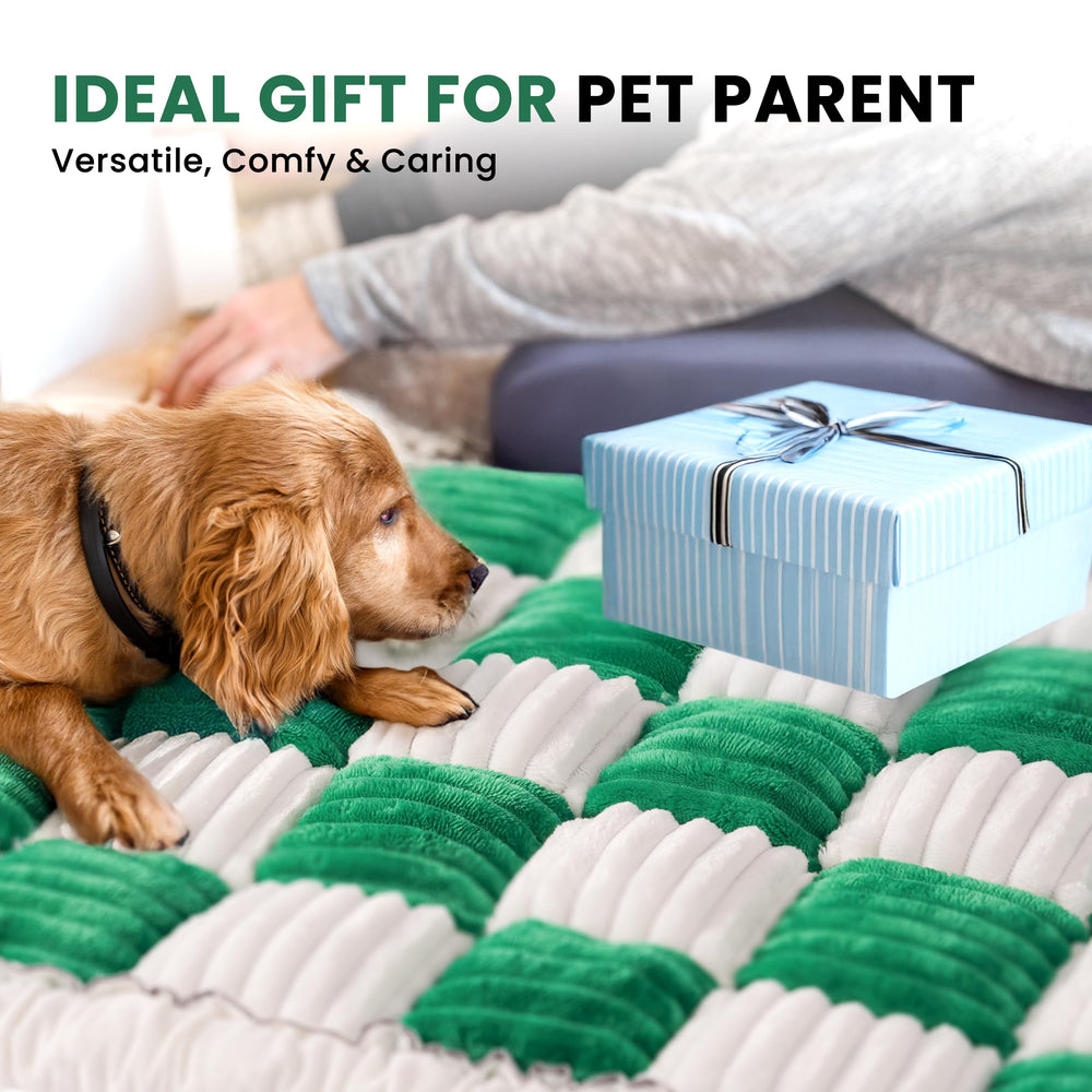 HiPetpy Backseat Bed Mat doubles as sofa cover or picnic blanket.
