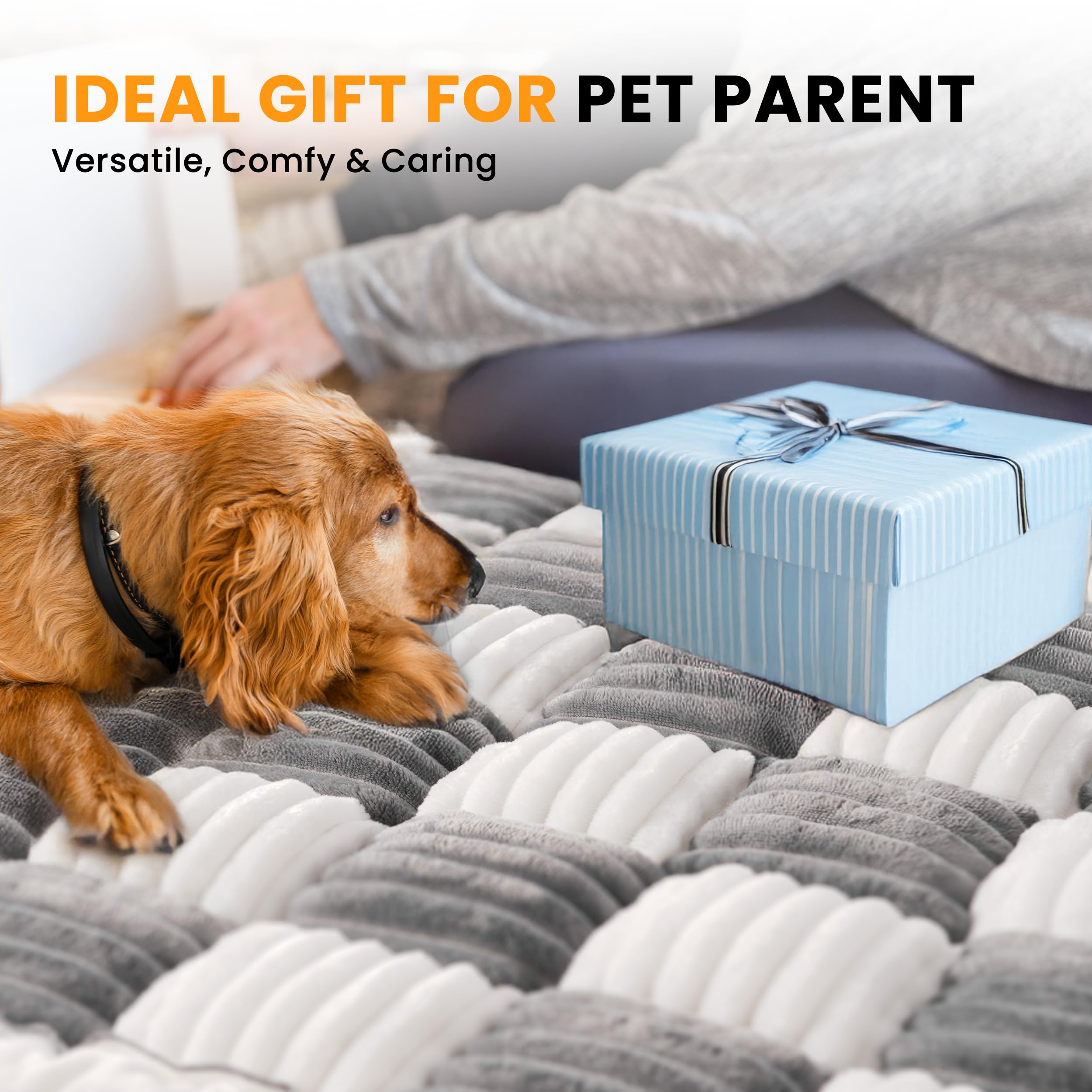 HiPetpy backseat dog bed mat six color options to match interiors.