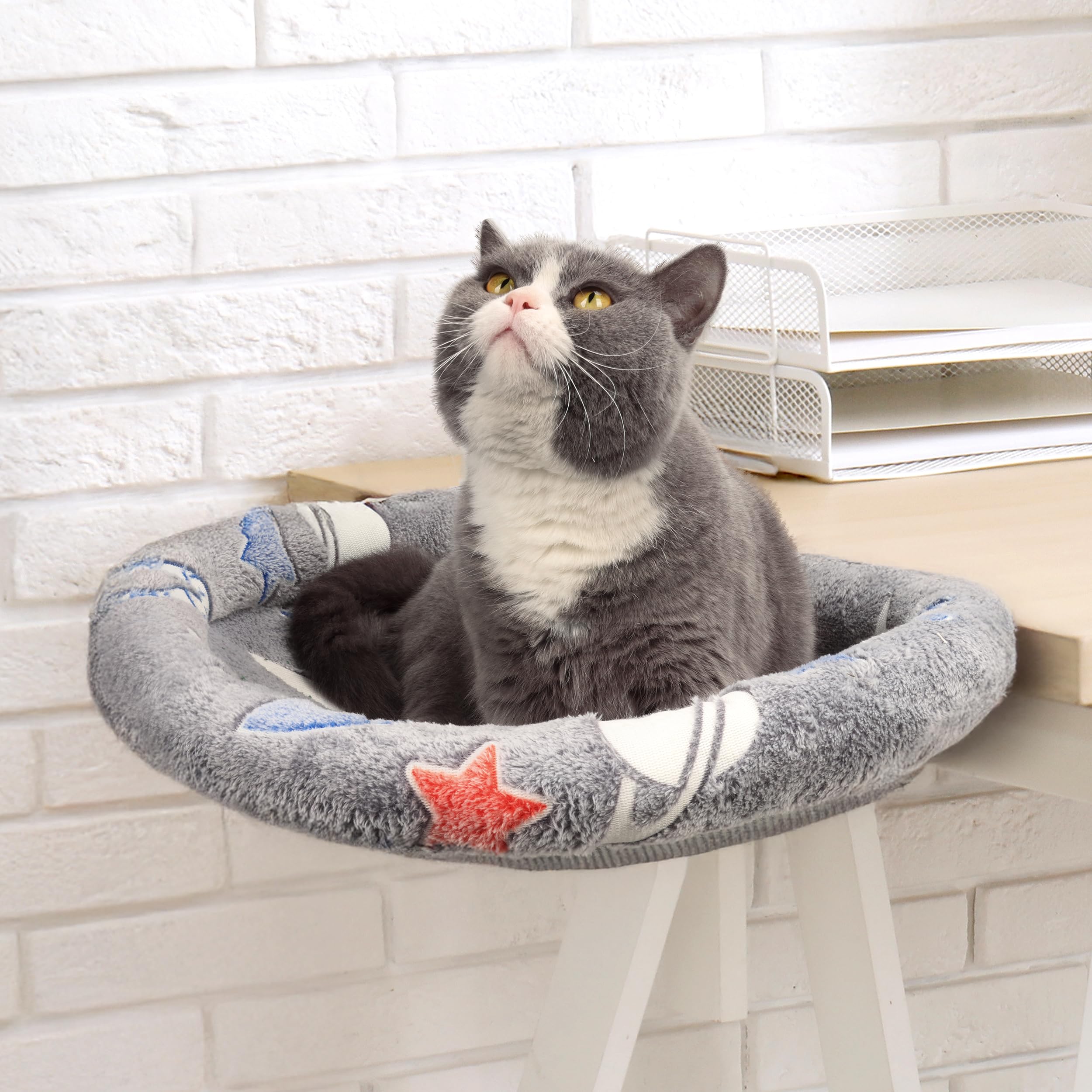 HiPetpy Cat Desk Bed folded on edge for space-saving, portable cat workstation.