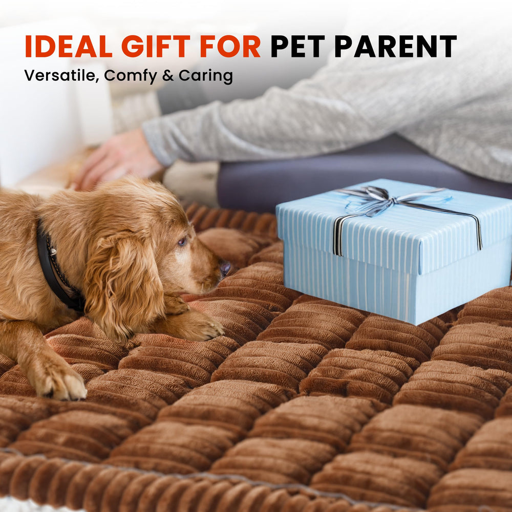 HiPetpy versatile blanket design doubles as sofa cover or indoor mat.