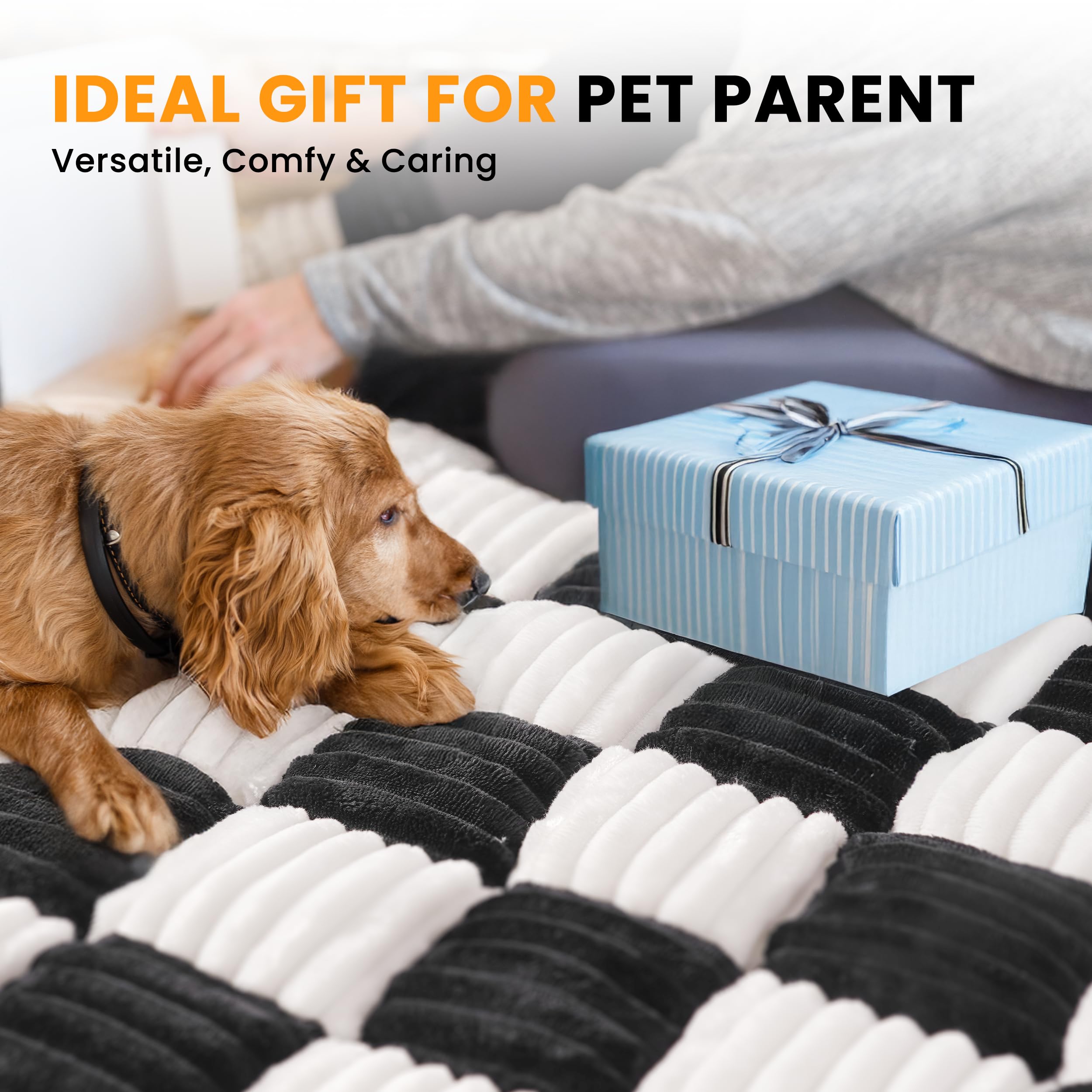 HiPetpy washable pet mat is easy to clean after trips.