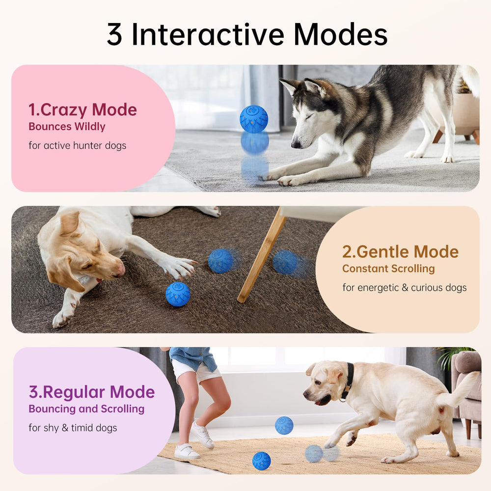 Hipibbo bouncing and rotating action keeps dogs engaged during playtime.