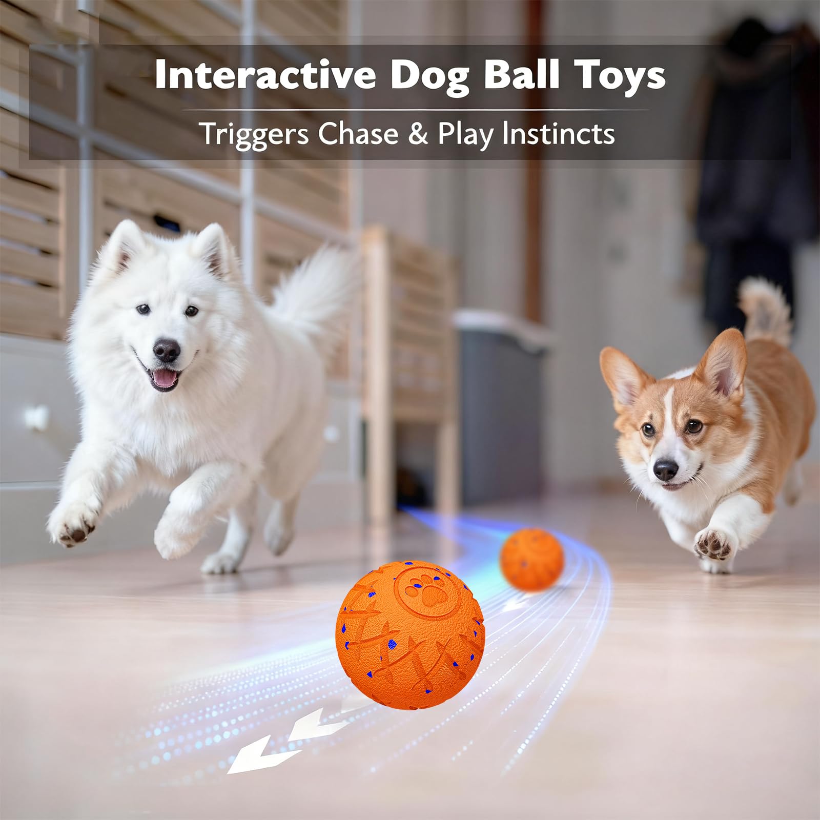 Hipibbo waterproof IP54 dog ball ready for indoor and outdoor adventures.