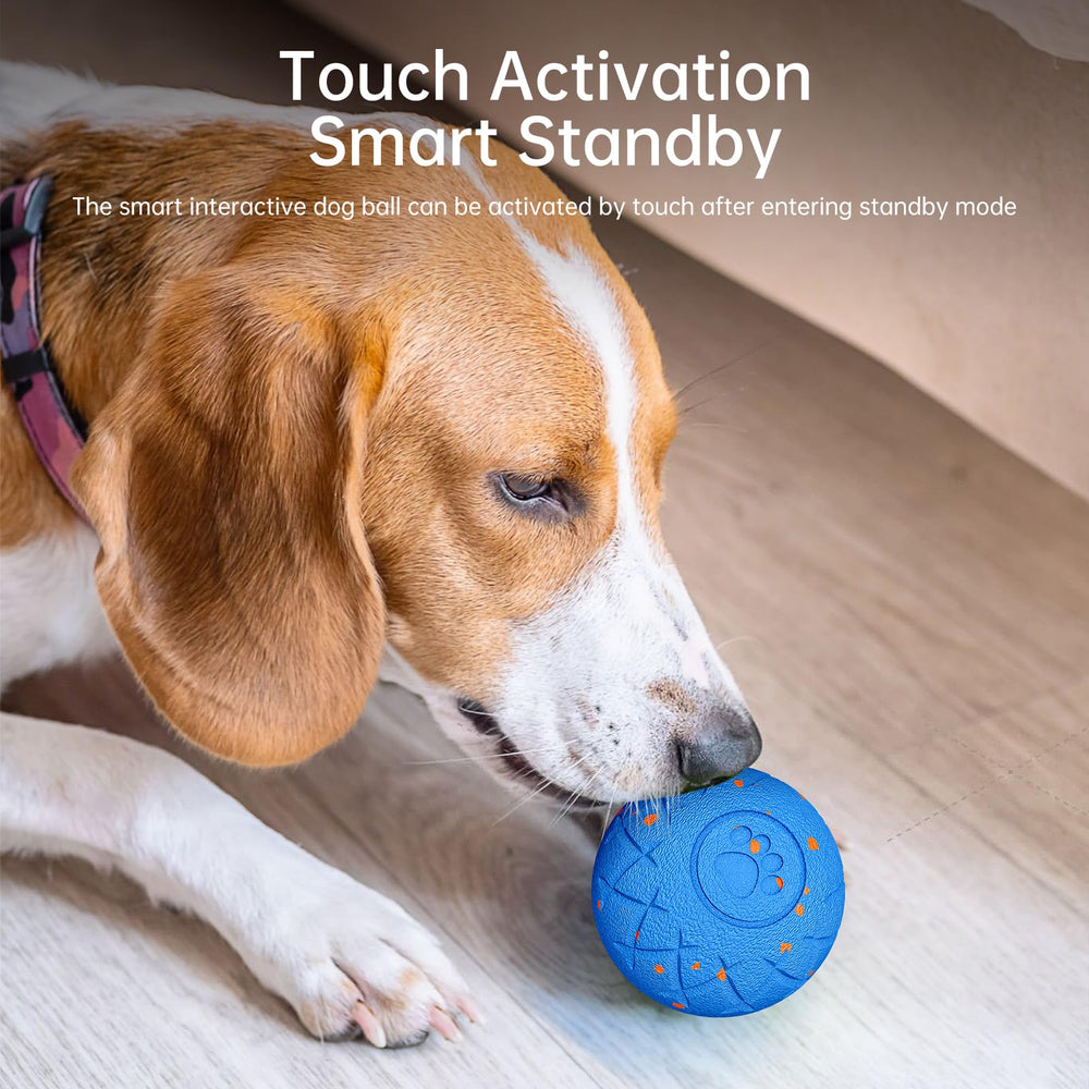 Hipibbo gift-ready dog toy for birthdays and holidays.