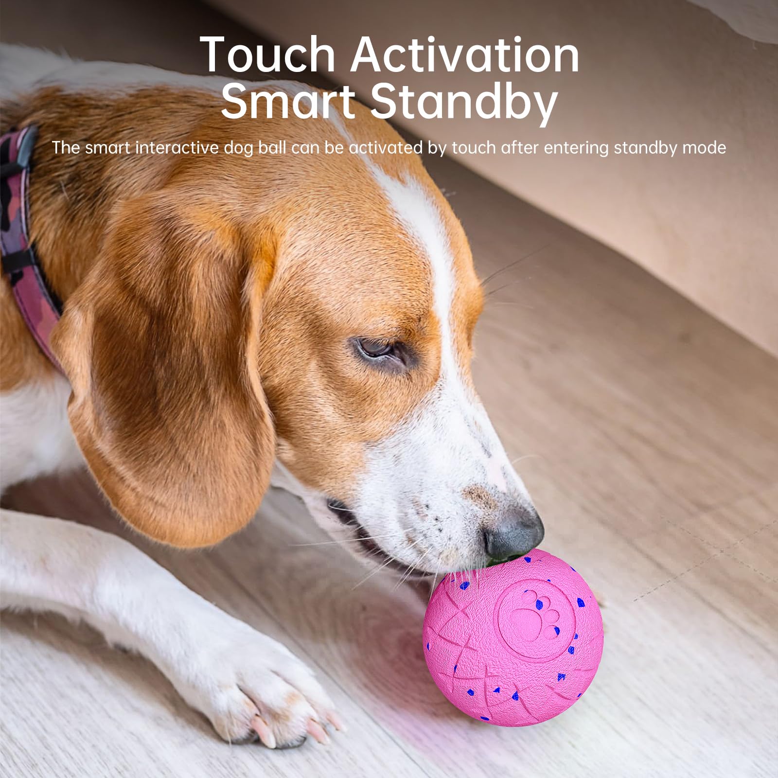 Hipibbo interactive dog ball easy to clean after indoor fun
