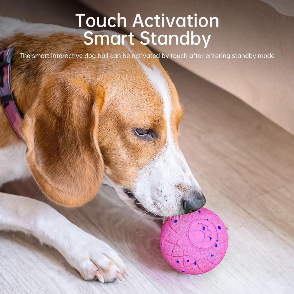 Hipibbo interactive dog ball easy to clean after indoor fun