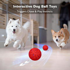 hipibbo interactive dog ball modes image highlights Crazy Regular and Gentle options.