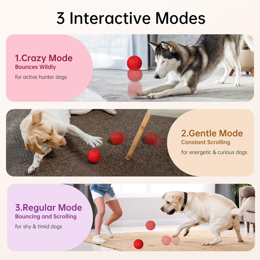 hipibbo interactive dog ball usb charging illustrates quick power up for longer play.