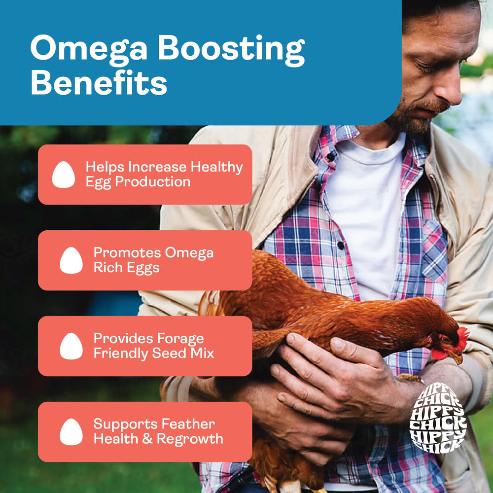 Hippy Chick Omega Booster omega-3 eggs visible for healthier family meals
