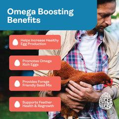 Hippy Chick Omega Booster omega-3 eggs visible for healthier family meals