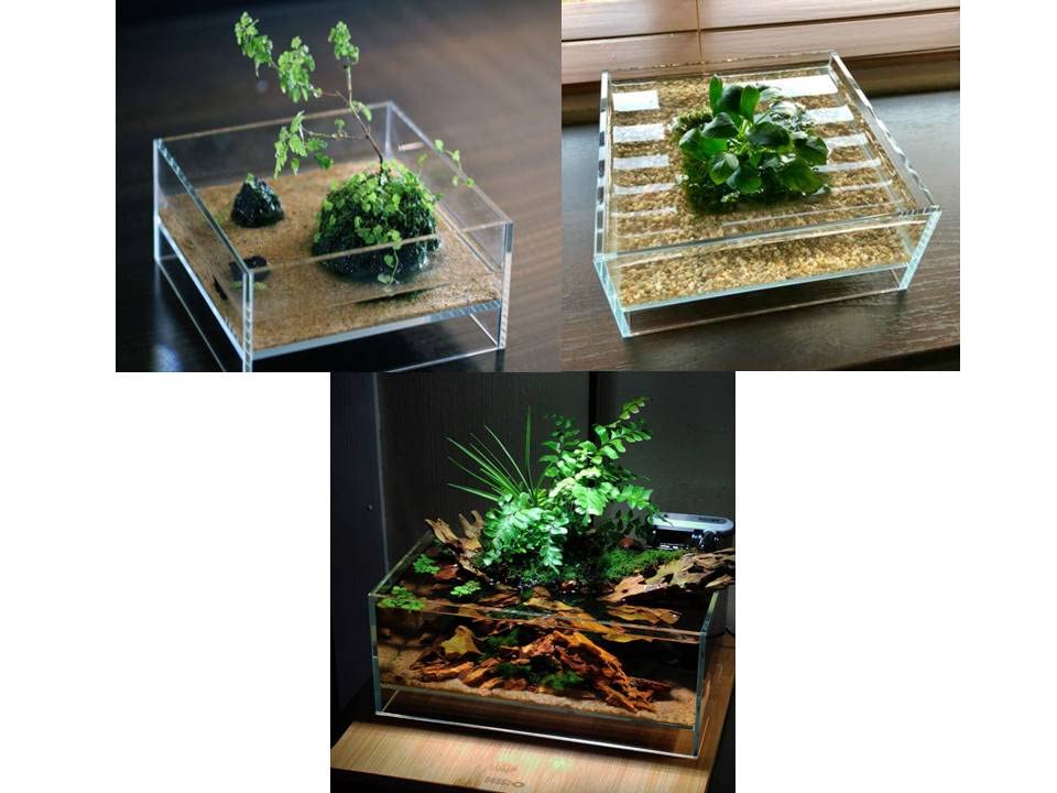 HIRO Aquatics Nano Tall Rimless Aquarium suited for desks or terrariums, compact display with glass clarity.