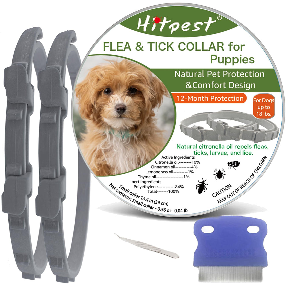 Hitpest universal-fit-collar shown on a small dog for adjustable sizing