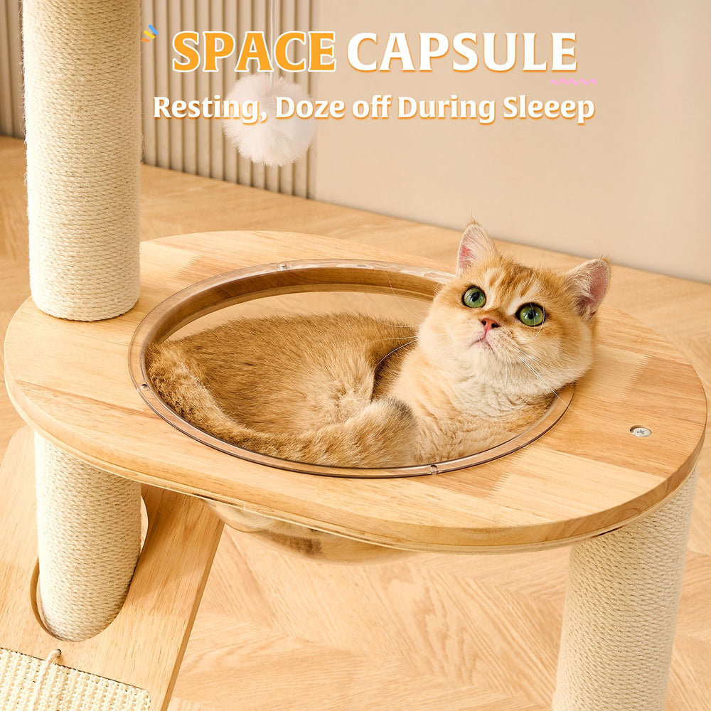 HITTITE 4-in-1 design supports climbing, scratching, sleeping and exercise