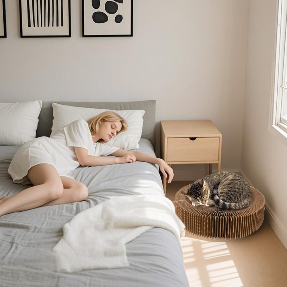 HivaolJoy catnip attraction tips to invite playful scratching