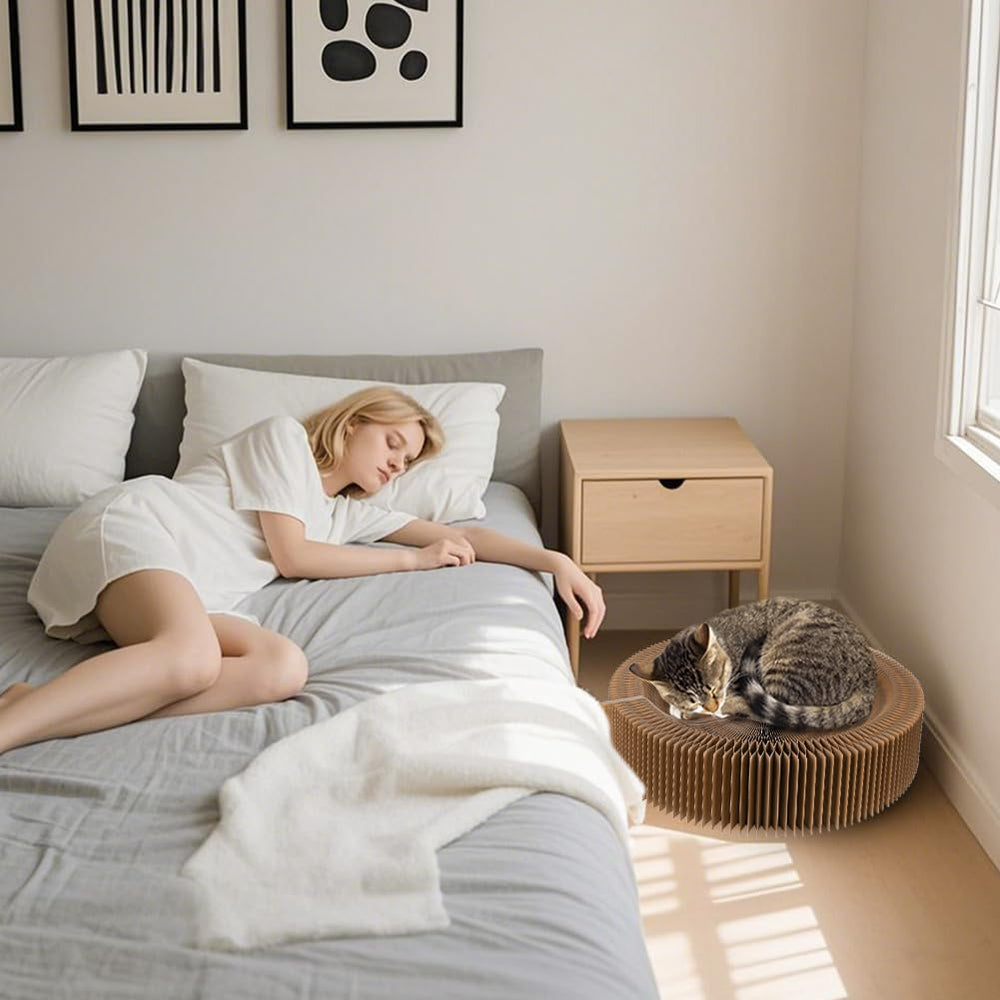 HivaolJoy catnip attraction tips to invite playful scratching