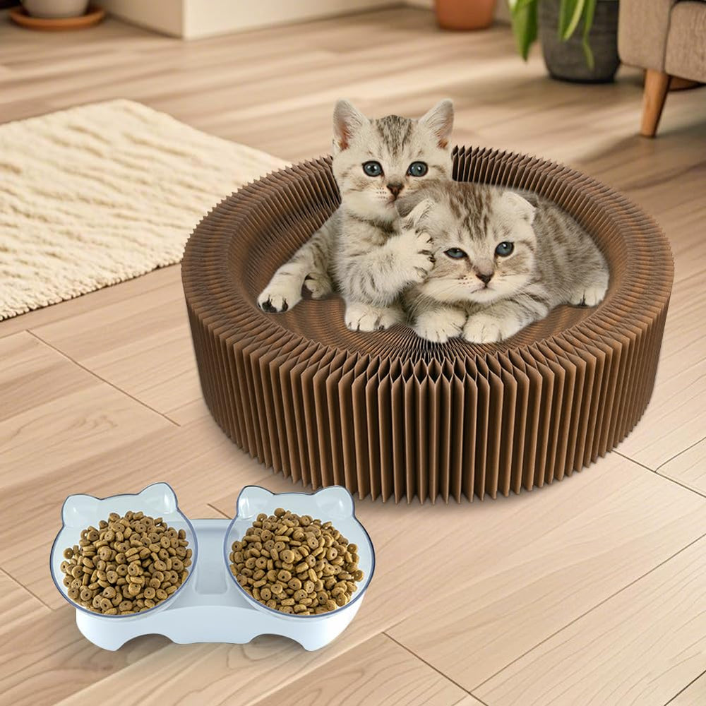 HivaolJoy recyclable cardboard materialEco-friendly scratching surface