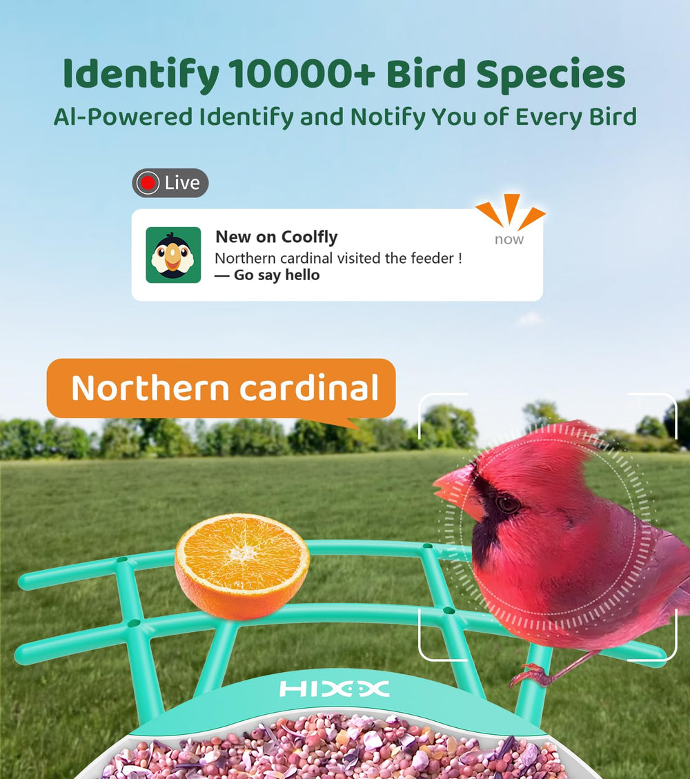 HIXX AI identifies birds across 10,000 species for quick learning and curiosity.