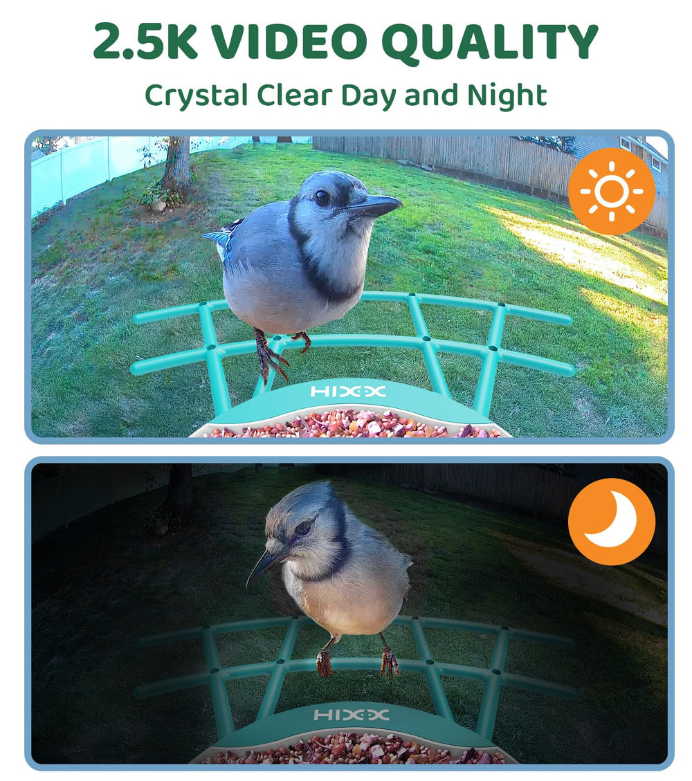 HIXX AI identification interface highlights species recognition and learning opportunities.