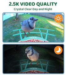 HIXX AI identification interface highlights species recognition and learning opportunities.