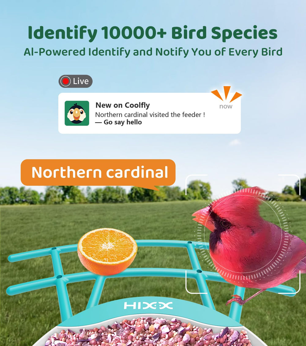 HIXX bird feeder camera solar panel for long-lasting outdoor operation.