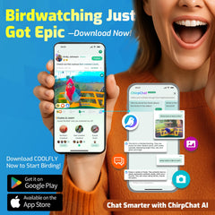HIXX Dual Seed Chambers attract diverse species and keep feeding varied.