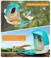 HIXX 2K live video feed delivers crisp, detailed bird activity for closer observation.