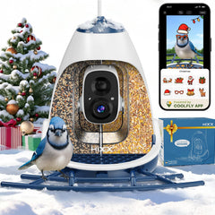 HIXX Smart Bird Feeder Camera 2K HD delivers sharp backyard bird footage.