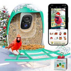 HIXX smart bird feeder camera captures live birds in the garden for real-time viewing.